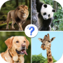 icon Animals Quiz(Adivinhe o animal: Animals Quiz)