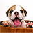 icon Puppy Live Wallpaper(Filhote de cachorro live wallpaper) 2.8