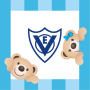 icon VEO Home (VEO Home
)