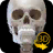 icon Skelett(Esqueleto | Anatomia 3D) 2.4.3