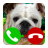 icon Fake Call Dog Game(jogo de cachorro de chamada falsa) 2.0
