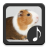 icon Guinea Pig Sounds(Sons de cobaia) 2.0.0