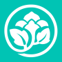 icon Oriental Princess (Oriental Princess
)