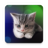 icon Sleepy Kitten Live Wallpaper(Papel de parede de gatinho sonolento) 1.1.1
