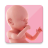 icon Pregnancy(Paternidade Rastreador de Gravidez e Dia a Dia) 1.2.7