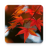 icon Autumn Leaf Fall Wallpaper(Papel de parede outono) 1.0.8