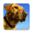 icon Dog Sounds(Cão soa ringtones) 5.0.1-40082