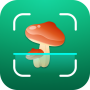 icon Mushroom ID: Fungi Identifier (ID de Cogumelo: Identificador de Fungos)