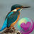 icon Kleurvolle Hummingbirds(Papel de Parede de Beija-Flores HD) 2.1.14