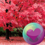 icon Pretty Pink Color HD Wallpaper (Papel de parede HD cor-de-rosa bonito)