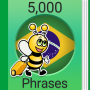 icon Learn Brazilian Portuguese (Aprenda Português Brasileiro
)