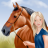 icon Pferde und Reiter Anziehspass(Diversão de cavalo e cavaleiro) 1.0