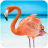 icon The Flamingo(O Flamingo
) 1.0.4