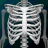 icon Human skeleton Anatomy(Sistema Ósseo em 3D (Anatomia)) 3.6