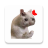 icon Stickers Cats Memes(Cat Memes Adesivos WASticker) 2.2.0