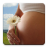 icon ru.fedr.pregnancy(Calendário da gravidez) 2.3.3