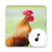 icon Chicken Sounds(Rooster Sons) 4.1.6