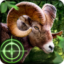 icon Wild Hunter(Caçador Selvagem 3D)