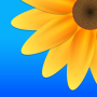 icon Gallery - Photo Albums (Galeria do editor de texto - Álbuns de fotos)