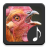 icon Chicken Sounds(Rooster Sons) 3.1.5