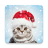 icon Christmas Photo Frames(Molduras para fotos de Natal, Editor) 2021.0.0