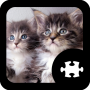 icon Cats & Kittens Puzzle(Gatos gatinho quebra-cabeça)