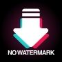icon Download Video TT No Watermark(TTDownloader-Sem marca d'água
)