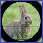 icon Rabbit Hunter(Caçador de coelho)