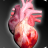 icon Circulatory System in 3D Anatomy(Sistema circulatório Anatomia 3D) 1.9.5