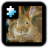 icon Rabbit(Quebra-cabeça: coelho) 2.0