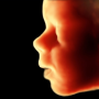 icon ScanBaby(ScanBaby aprende ultrassom do bebê)