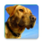 icon Dog Sounds(Cão soa ringtones) 5.0.1-40071