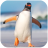 icon Talking Penguin(Falando Pinguim
) 1.1.0