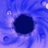 icon Idle Black Hole(Ocioso Buraco Negro
) 1.10.7