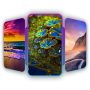 icon Photo Wallpaper 2024