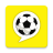 icon 45.2.0.22027