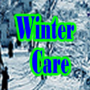 icon Winter Care(Cuidados de inverno)