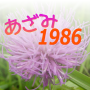 icon ansoft.azami1986(Azami 1986)