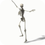icon Dancing Skeleton Video LWP(Temas de vídeo de esqueleto de dança Wikids)