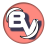icon Basic VPN(VPN Básica
) 2.1.1