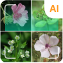 icon Plant identifier (Plant identifier
)