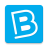 icon 2.0.10