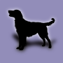 icon Dog Breeds (Raças de cães)