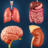 icon My Organs Anatomy(Anatomia dos meus órgãos) 3.1