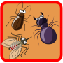 icon air.Insects.variety.games.A4enc(Insect Crushing - Jogos Diversos)