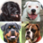 icon Dogs Quiz(Dogs Quiz - Adivinhe Raças de Cães Populares nas Fotos
) 3.3.0