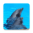 icon Dolphin sound to relax(Golfinhos - som para relaxar) 1.8