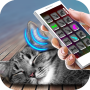 icon Sleep Cat Simulator Joke(Piada do Simulador do Gato do Sono)