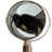 icon Magnifying Glass(Lupa) 1.30
