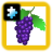 icon Fruit(Quebra-cabeça de crianças: frutas) 2.0